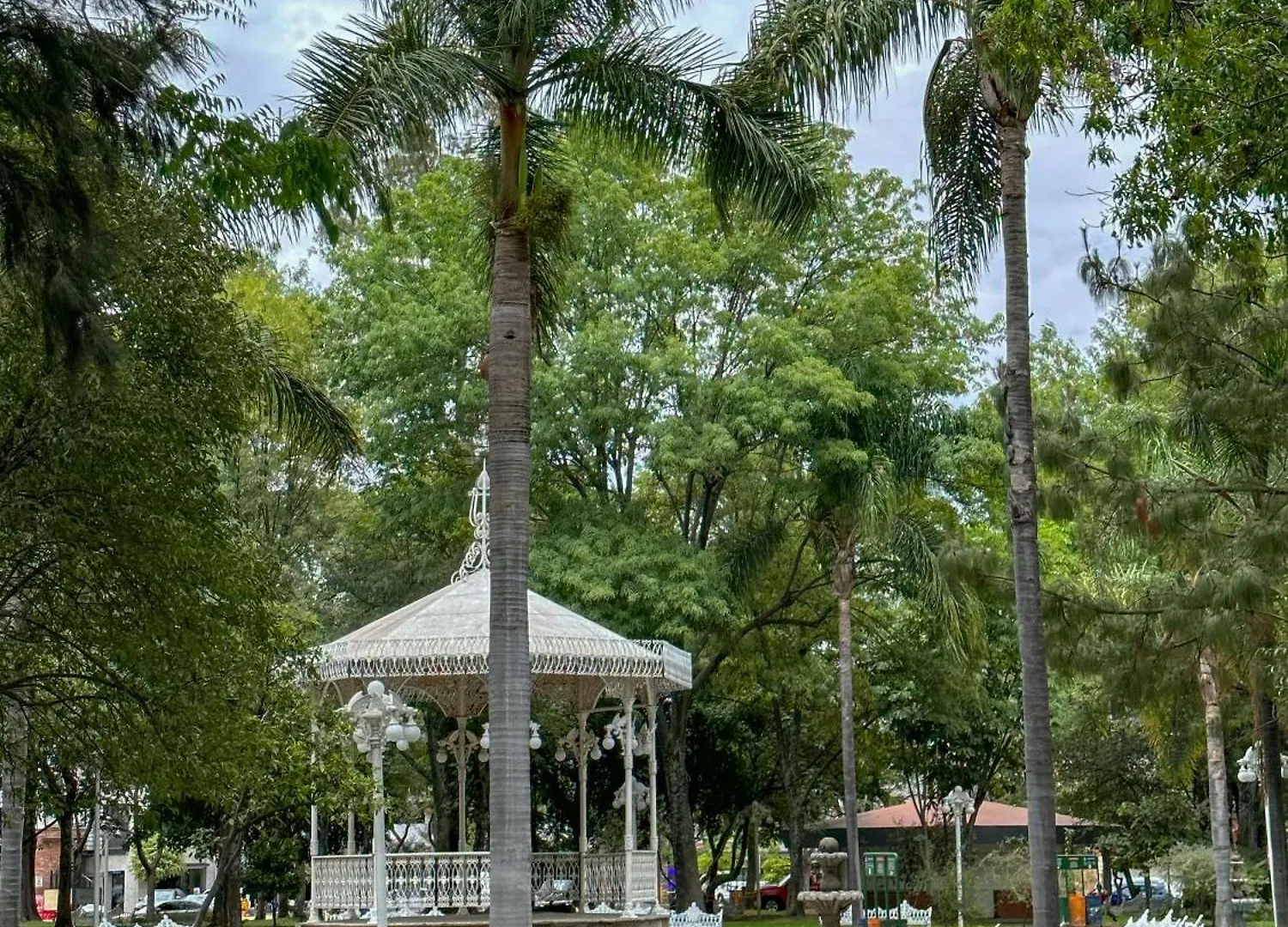 Centrico Estudio En Chapalita Tu Refugio Ideal 15 Guadalajara